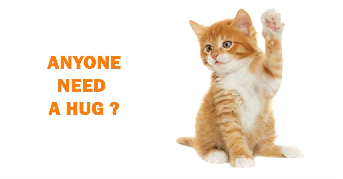 A FREE LITTLE HUG EVERY DAY!