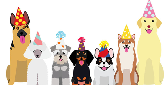 Cute dogs happy 2024 birthday