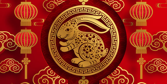 Celebrate the Year of the Rabbit. Our Lunar New Year jersey unites