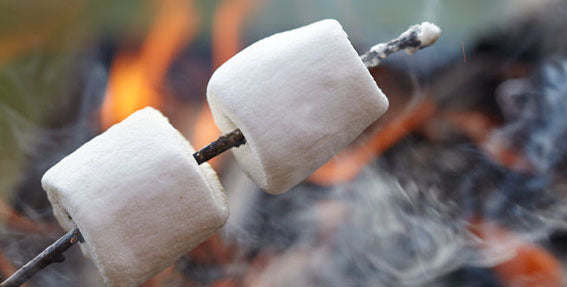 Marshmallows on a campfire