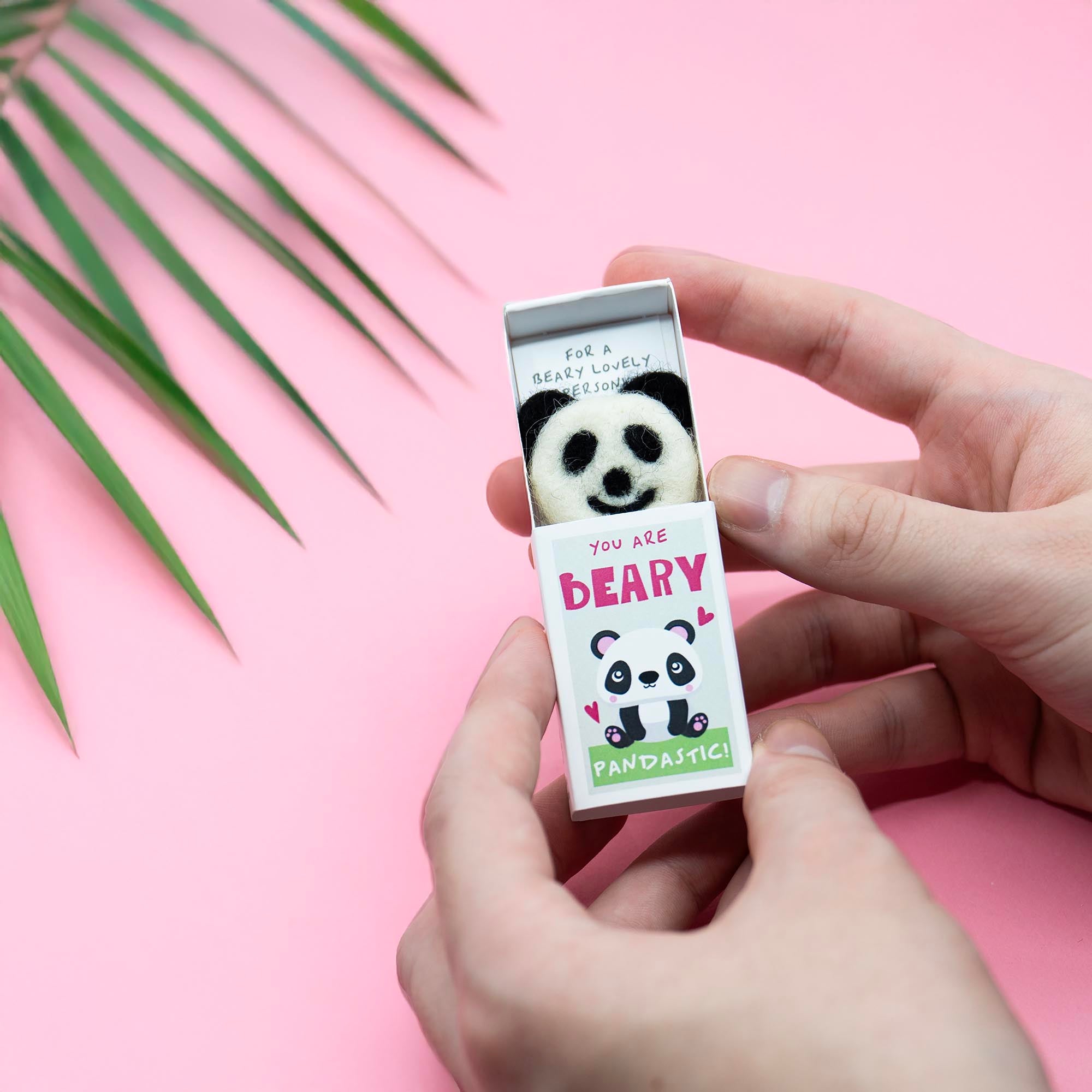 You Are Beary Pandastic In A Matchbox