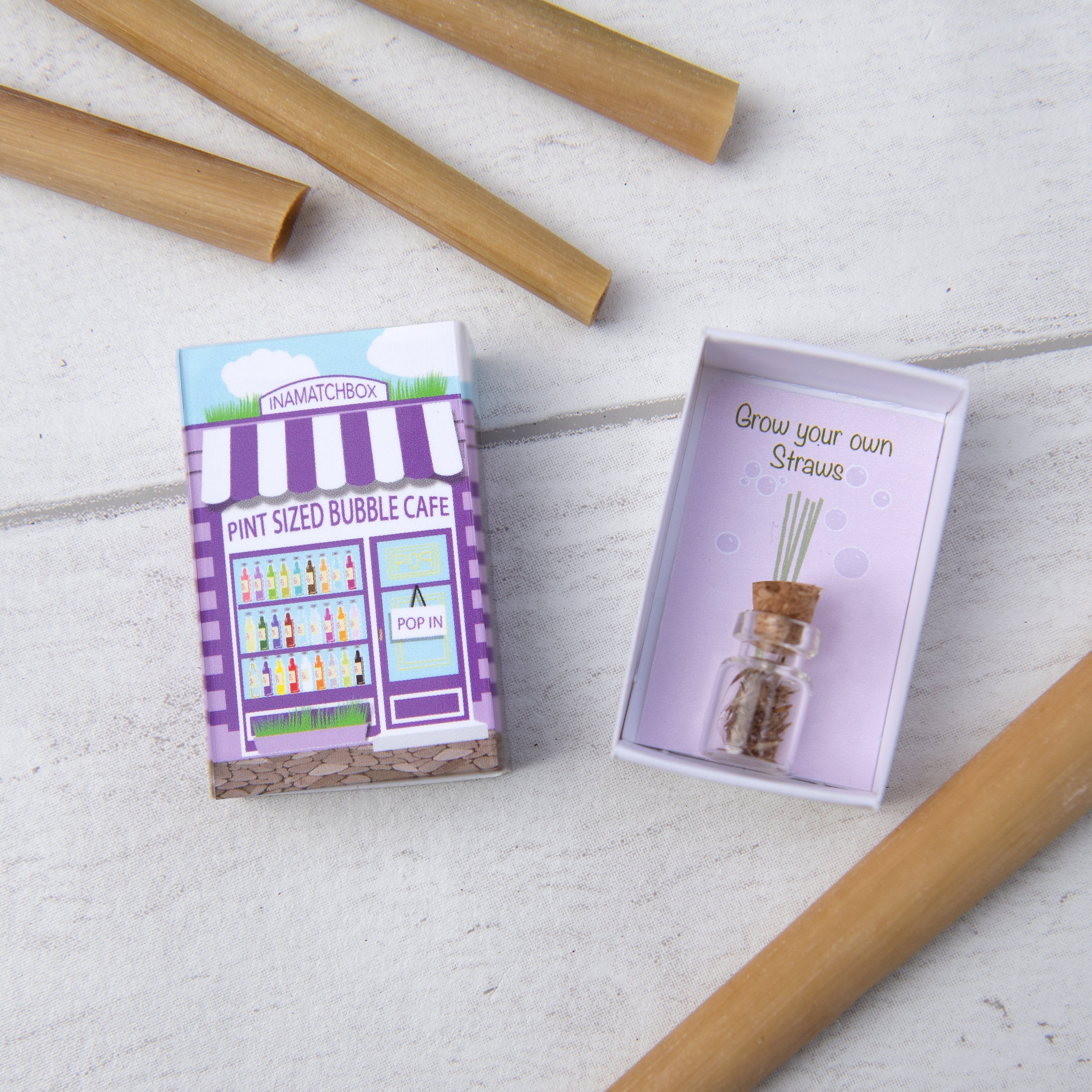 Grow Your Own Lemon Grass Straws In A Matchbox