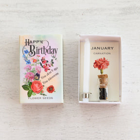 January Birth Flower Seeds And Birthday Candle Gift