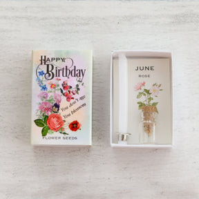 June Birth Flower Rose Seeds And Birthday Candle Gift