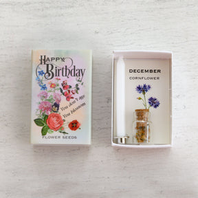 December Birth Flower Seeds And Birthday Candle Gift