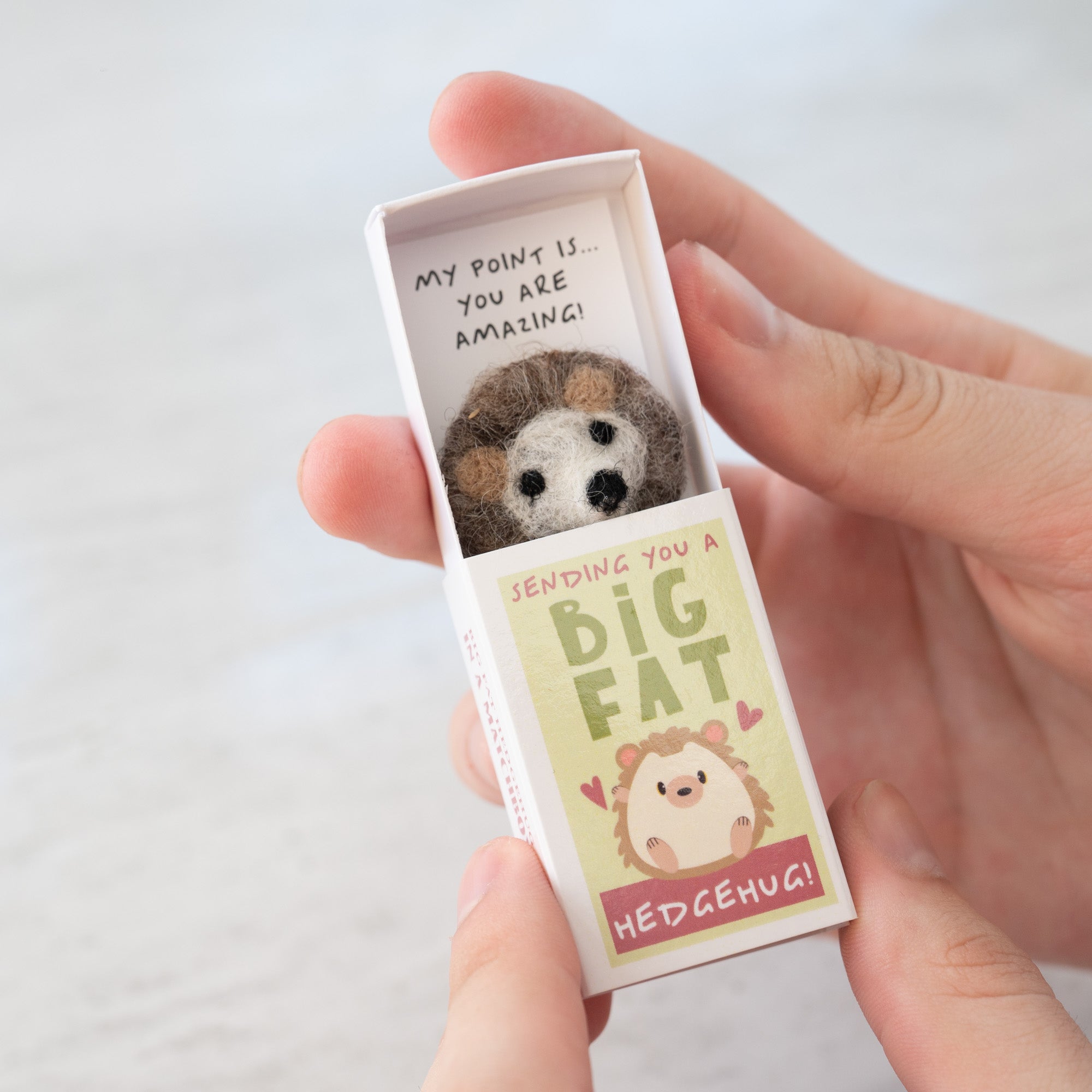 Sending You A 'Hedgehug' In A Matchbox