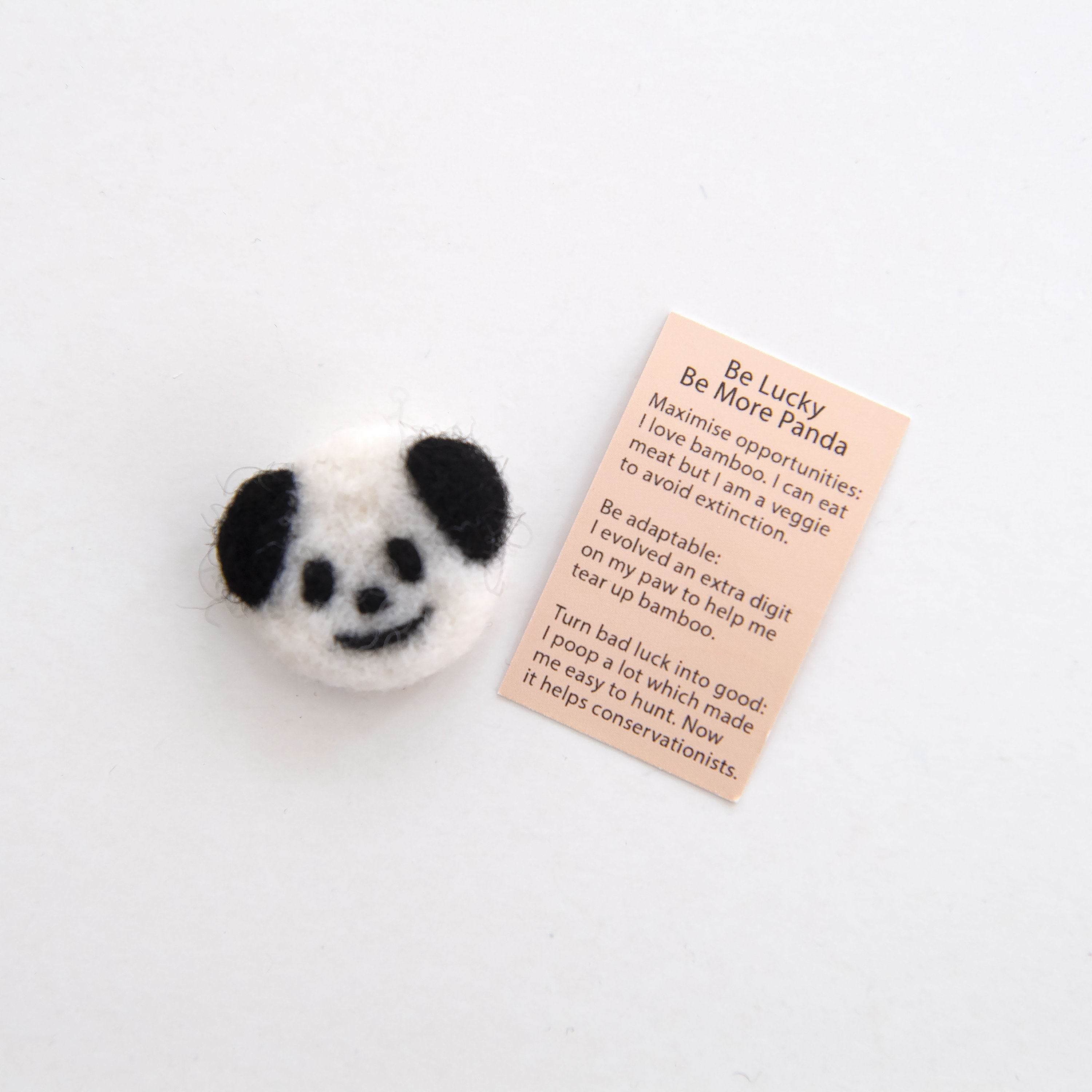 Wool Felt Panda Spirit Animal Gift In A Matchbox