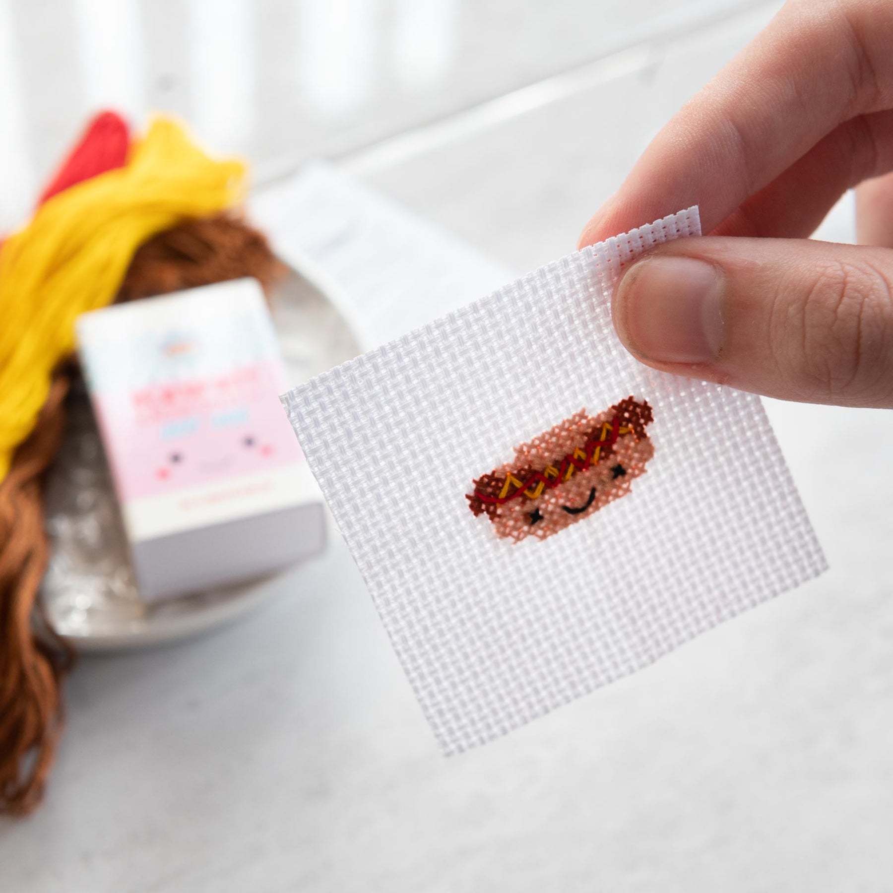 Mini Cross Stitch Kit With Kawaii Hot Dog Design
