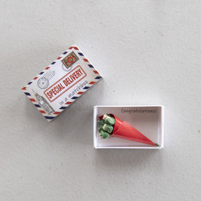Special Delivery Congratulations Bouquet In A Matchbox