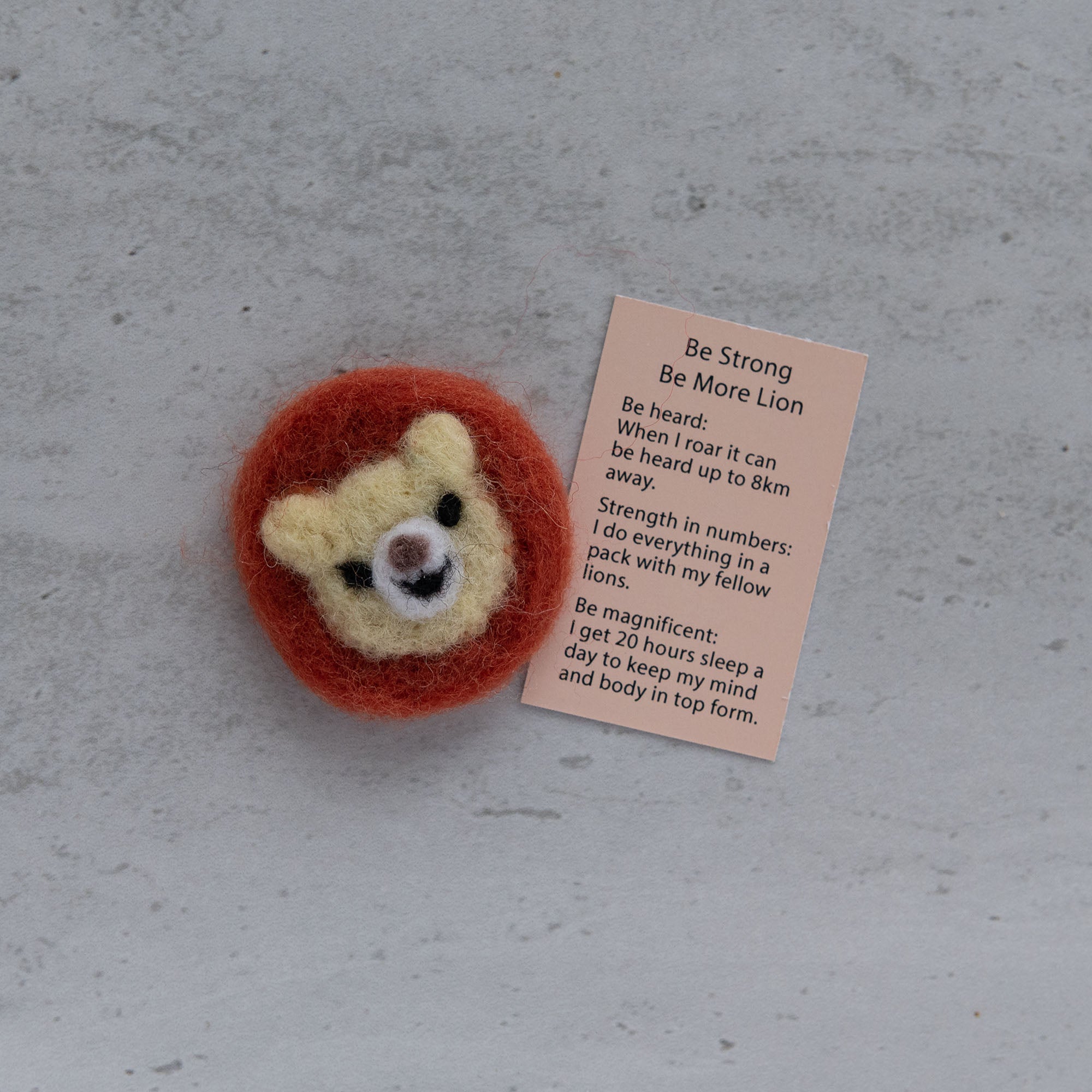 Wool Felt Lion Spirit Animal Gift In A Matchbox