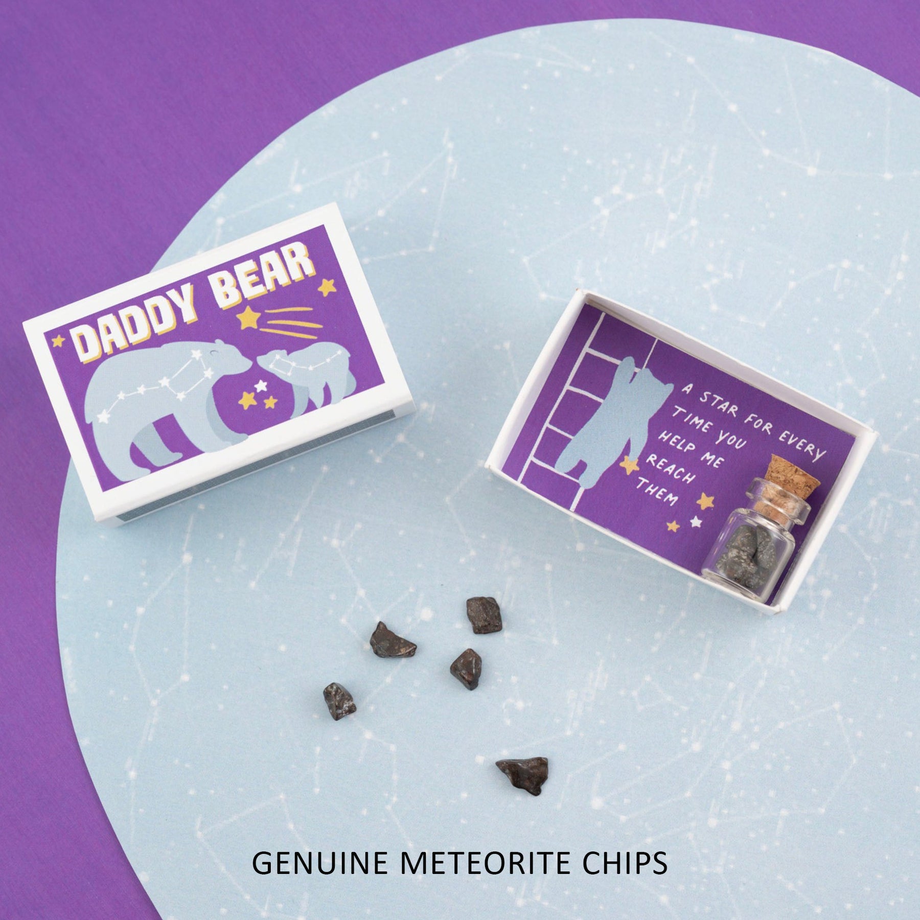 Daddy Bear Meteorite Gift In A Matchbox