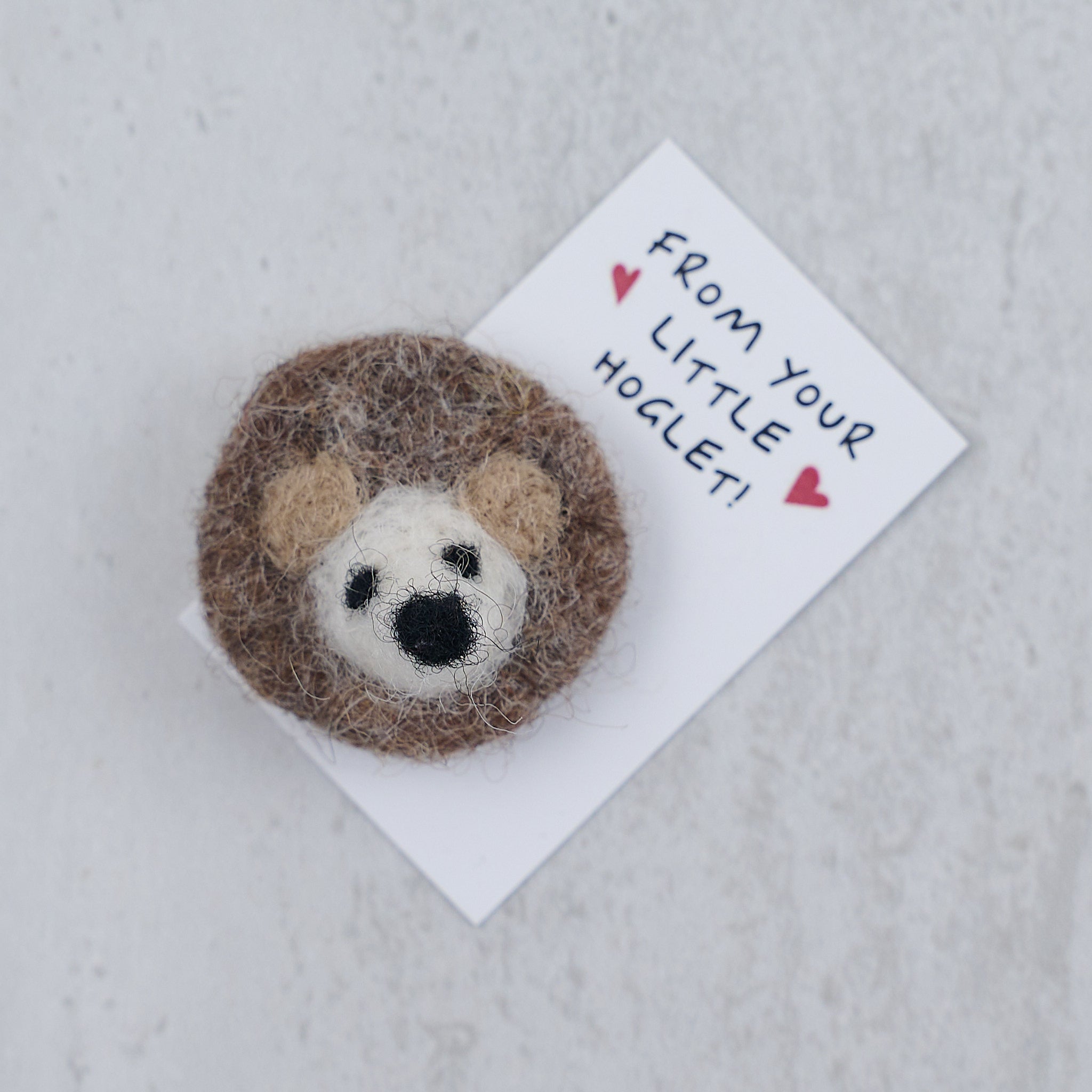 A Big Fat Hedgehug For Mum In A Matchbox