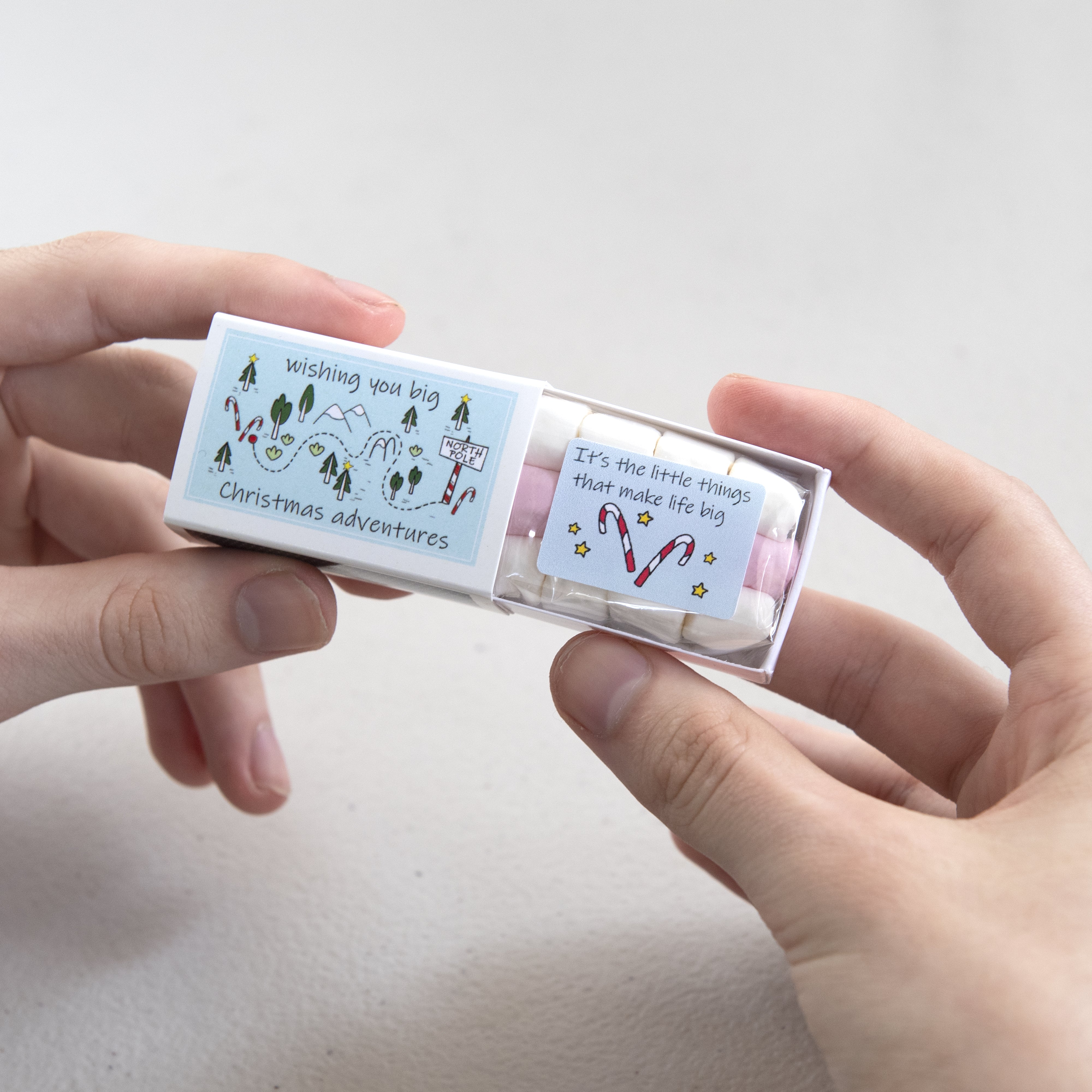 Mini Marshmallow Toasting Kit