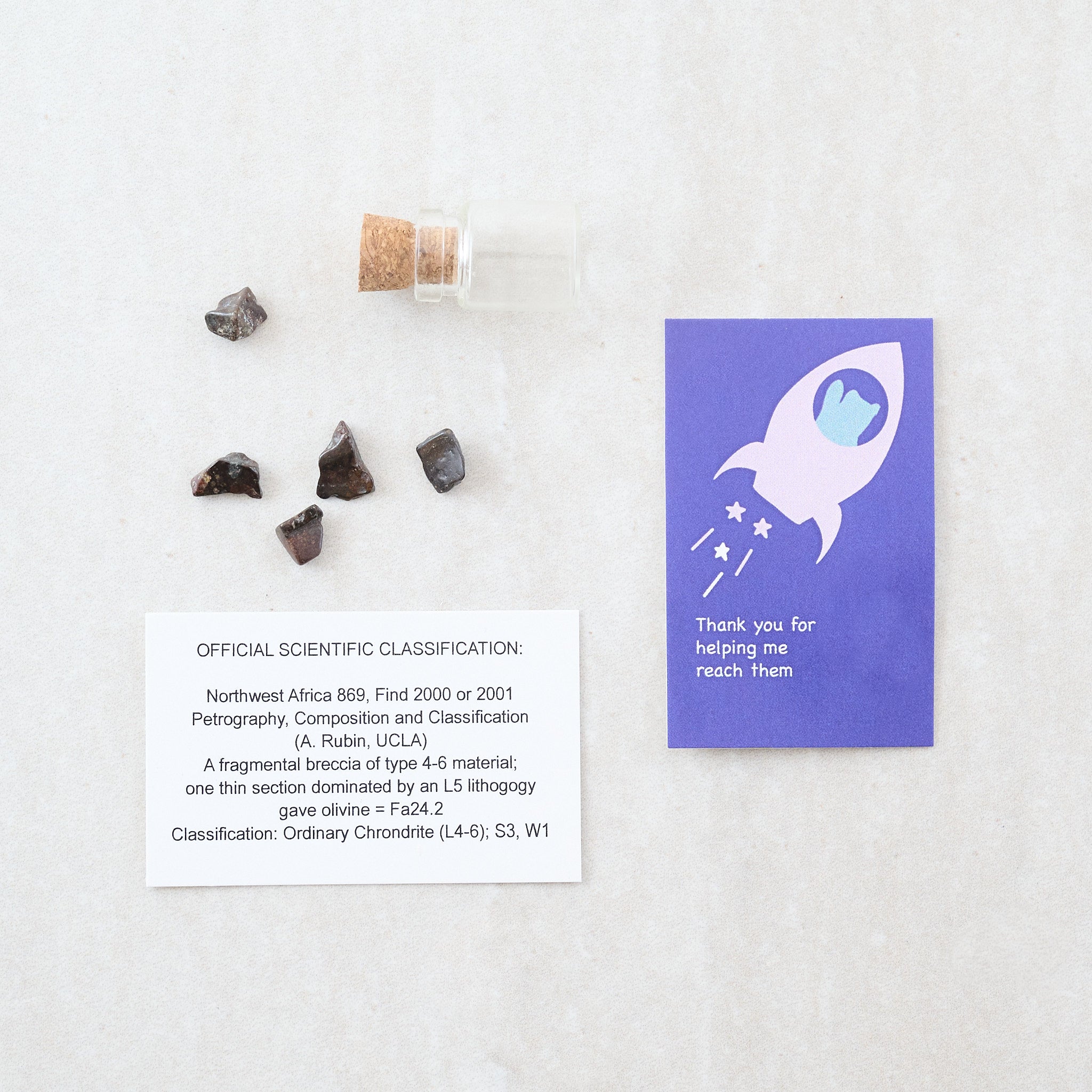 Super Star Teacher Meteorite Gift