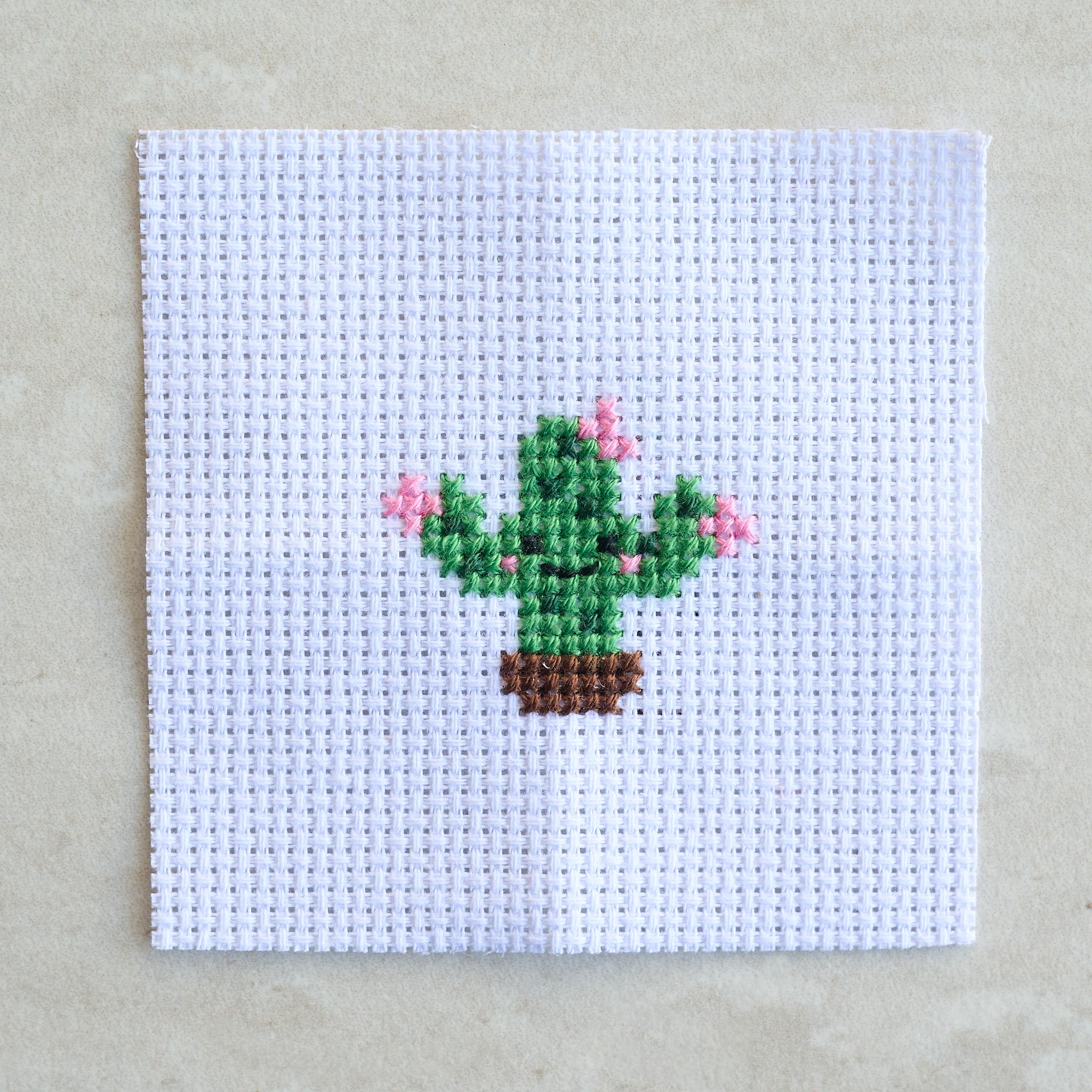 Kawaii Cactus Cross Stitch Kit