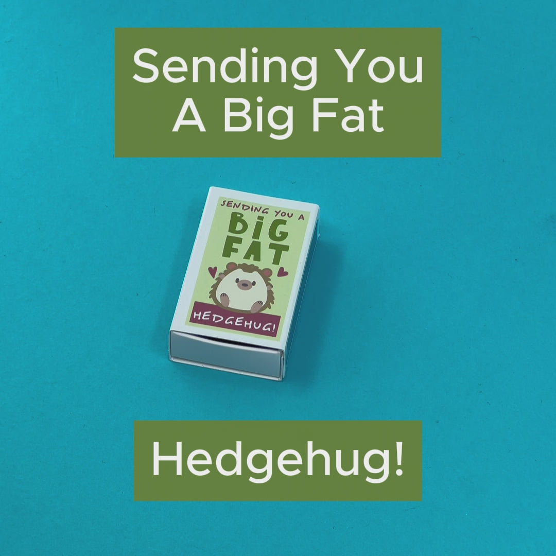 Sending You A 'Hedgehug' In A Matchbox