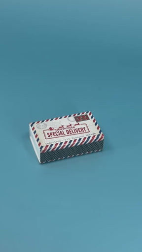 Special Delivery Christmas Eve Mission In A Matchbox
