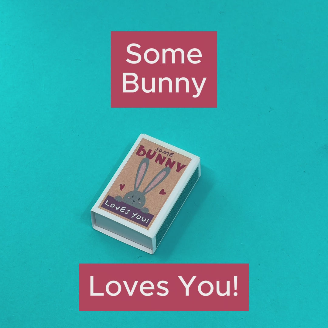 Some Bunny Loves You Wool Felt Rabbit In A Matchbox