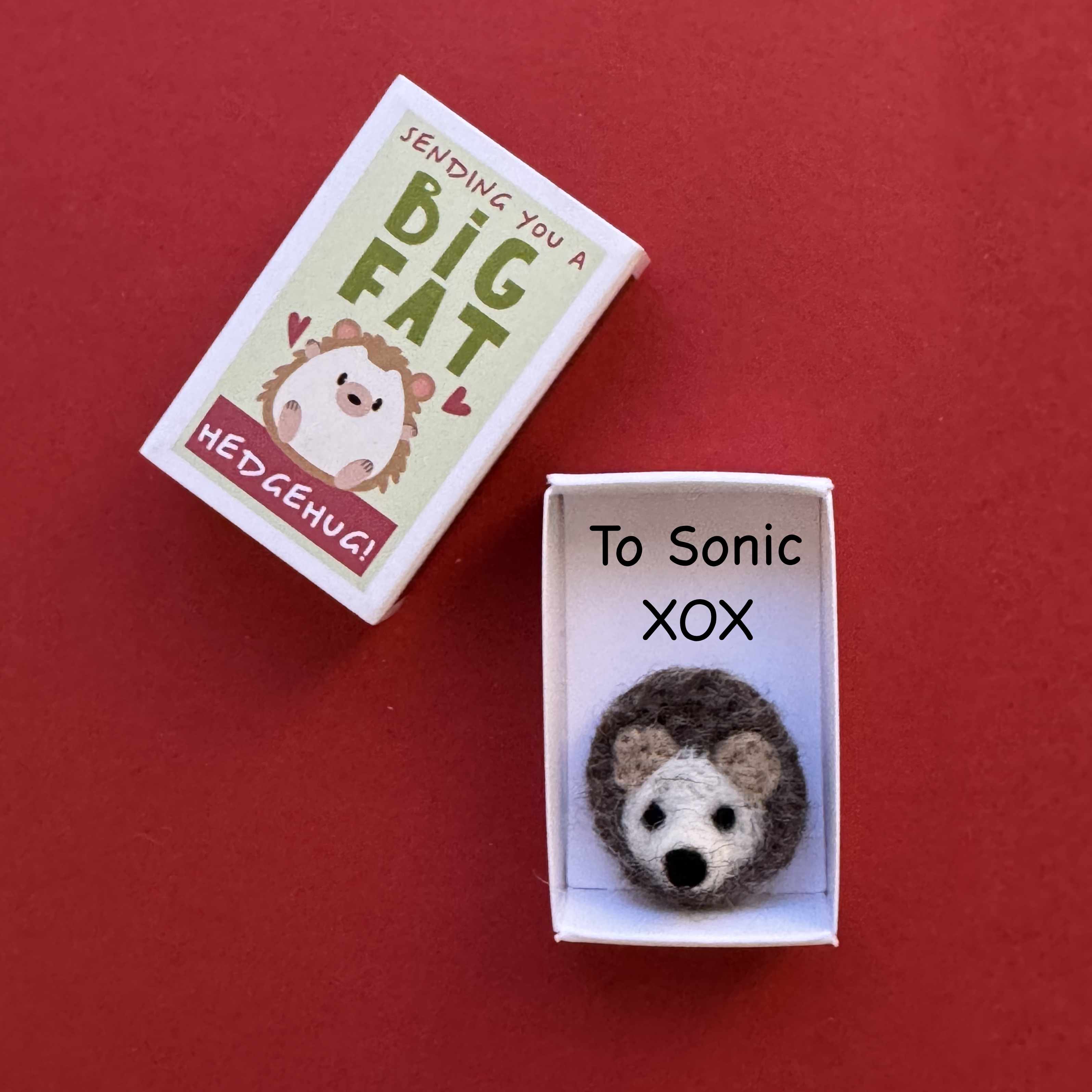Sending You A 'Hedgehug' In A Matchbox