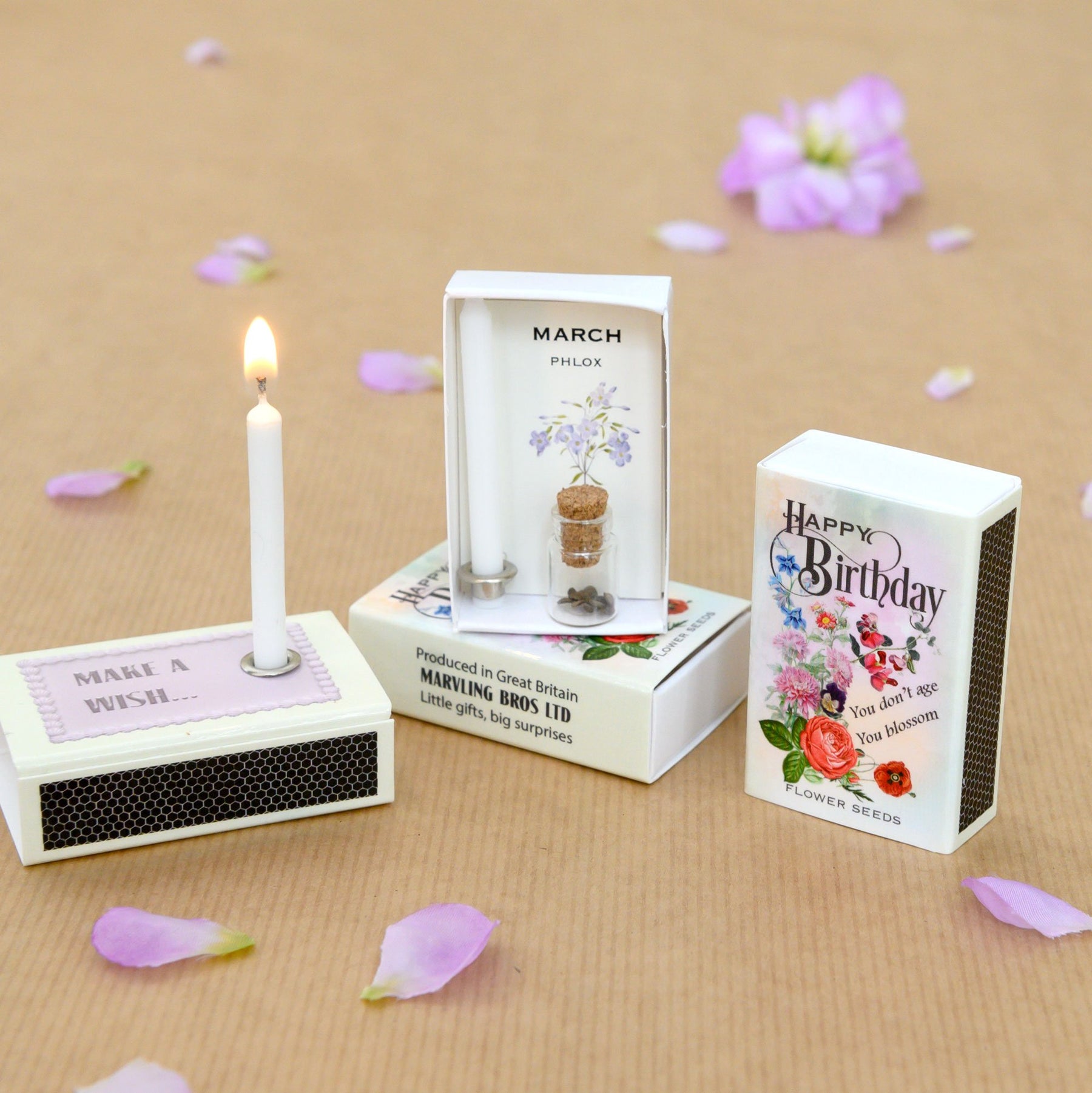 March Birth Flower Phlox Seeds And Birthday Candle Gift