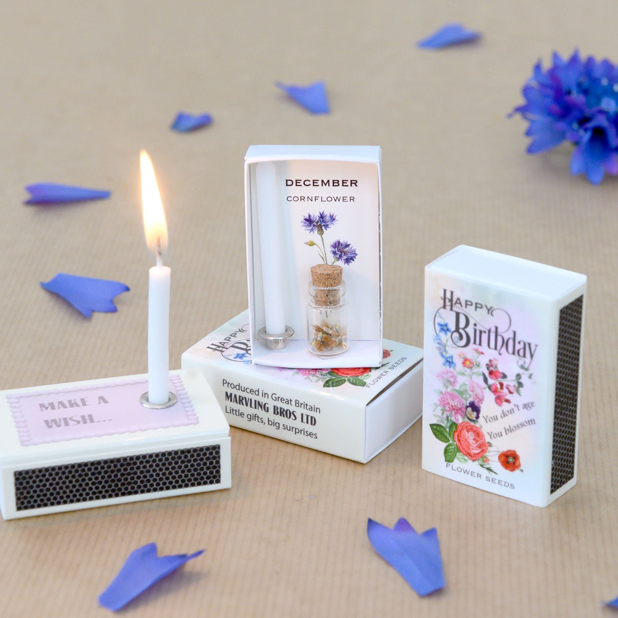 December Birth Flower Seeds And Birthday Candle Gift