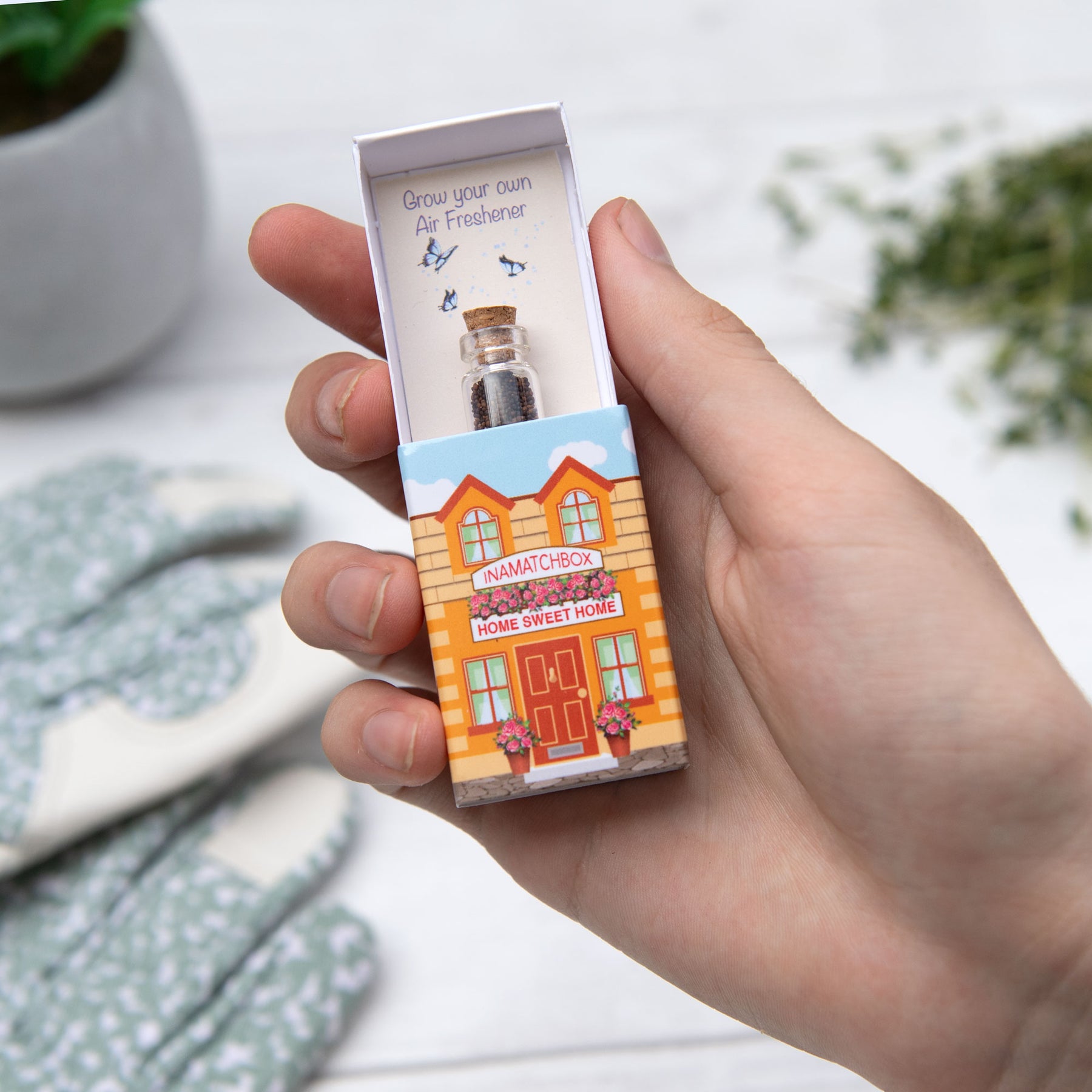 Grow Your Own Thyme Air Freshener In A Matchbox