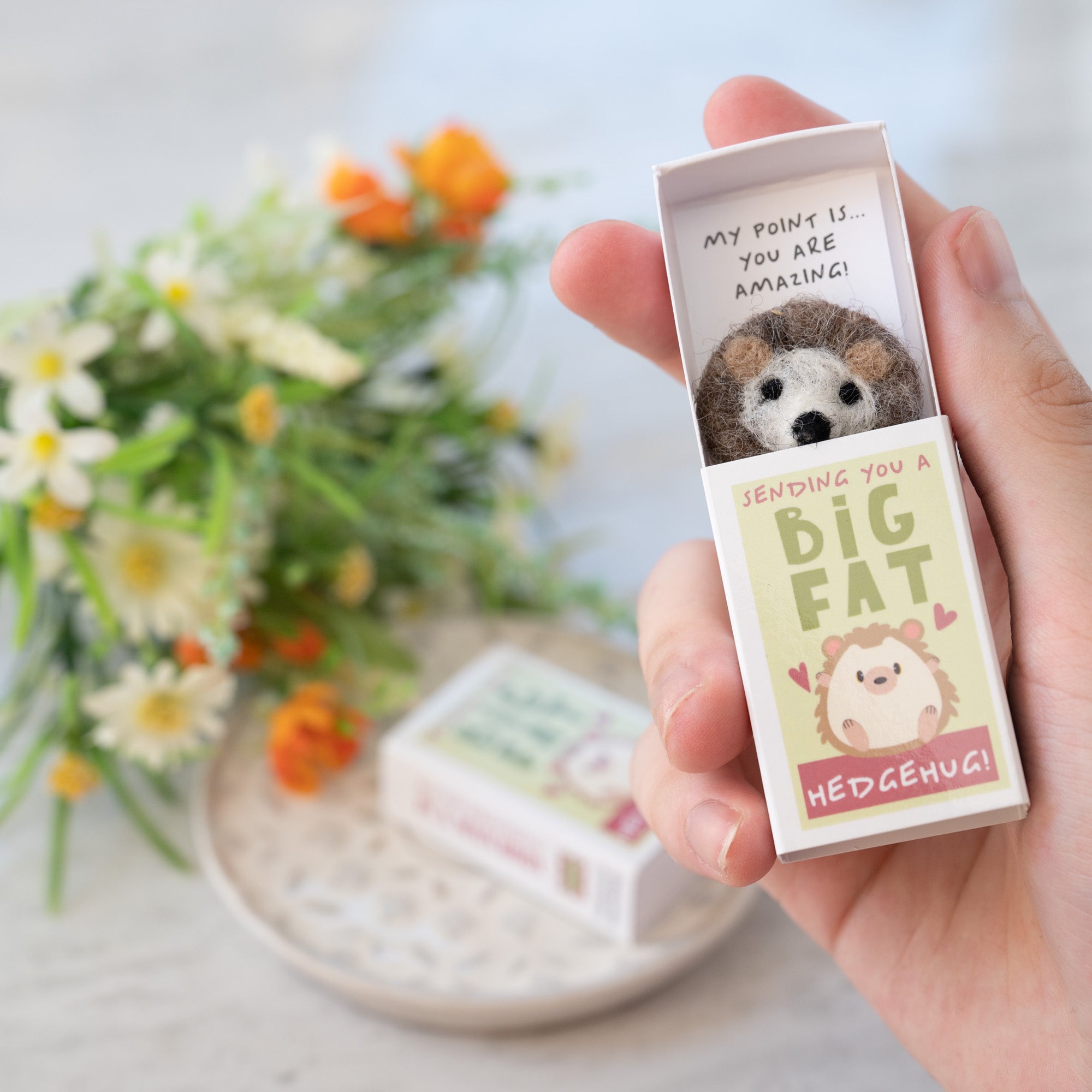 Sending You A 'Hedgehug' In A Matchbox