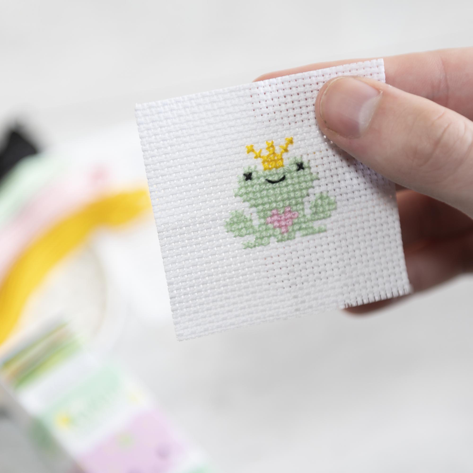 Mini Cross Stitch Kit With Kawaii Frog Prince Design