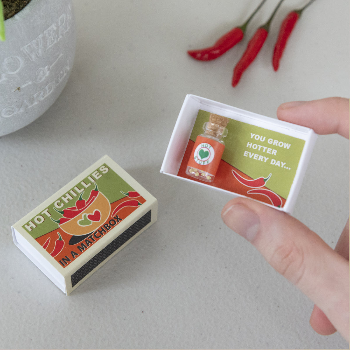 Grow Your Own Tabasco Chilli Plant Gift